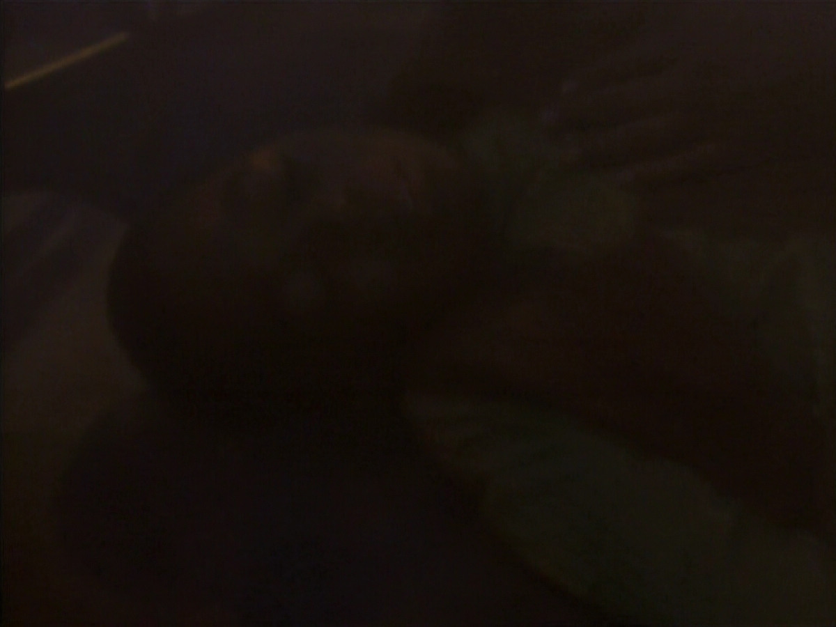extant_StarTrekDS9_1x01-1x02-Emissary_0214.jpg