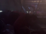 Filename=extant_StarTrekDS9_1x01-1x02-Emissary_0106.jpg
Filesize=107KiB
Dimensions=1200x900
Date added=May 22, 2019 extant_StarTrekDS9_1x01-1x02-Emissary_0106.jpg