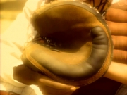Filename=extant_StarTrekDS9_1x01-1x02-Emissary_5792.jpg
Filesize=173KiB
Dimensions=1200x900
Date added=May 22, 2019 extant_StarTrekDS9_1x01-1x02-Emissary_5792.jpg