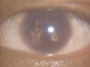 Filename=extant_StarTrekDS9_1x01-1x02-Emissary_6287.jpg
Filesize=136KiB
Dimensions=1200x900
Date added=May 22, 2019 extant_StarTrekDS9_1x01-1x02-Emissary_6287.jpg