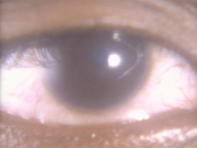 Filename=extant_StarTrekDS9_1x01-1x02-Emissary_6534.jpg
Filesize=141KiB
Dimensions=1200x900
Date added=May 22, 2019 extant_StarTrekDS9_1x01-1x02-Emissary_6534.jpg