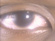 Filename=extant_StarTrekDS9_1x01-1x02-Emissary_6537.jpg
Filesize=153KiB
Dimensions=1200x900
Date added=May 22, 2019 extant_StarTrekDS9_1x01-1x02-Emissary_6537.jpg