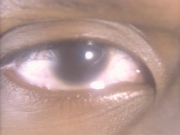 Filename=extant_StarTrekDS9_1x01-1x02-Emissary_6538.jpg
Filesize=152KiB
Dimensions=1200x900
Date added=May 22, 2019 extant_StarTrekDS9_1x01-1x02-Emissary_6538.jpg