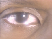 Filename=extant_StarTrekDS9_1x01-1x02-Emissary_6539.jpg
Filesize=150KiB
Dimensions=1200x900
Date added=May 22, 2019 extant_StarTrekDS9_1x01-1x02-Emissary_6539.jpg