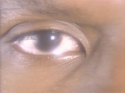 Filename=extant_StarTrekDS9_1x01-1x02-Emissary_6540.jpg
Filesize=154KiB
Dimensions=1200x900
Date added=May 22, 2019 extant_StarTrekDS9_1x01-1x02-Emissary_6540.jpg