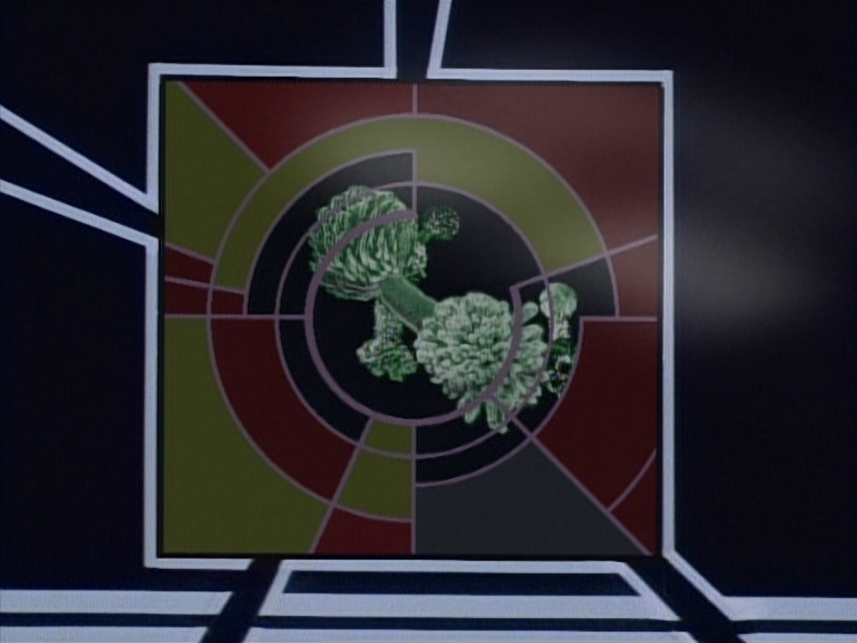 extant_StarTrekDS9_1x05-Babel_01751.jpg