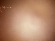 Filename=extant_StarTrekDS9_1x05-Babel_03668.jpg
Filesize=132KiB
Dimensions=1200x900
Date added=May 29, 2019 extant_StarTrekDS9_1x05-Babel_03668.jpg