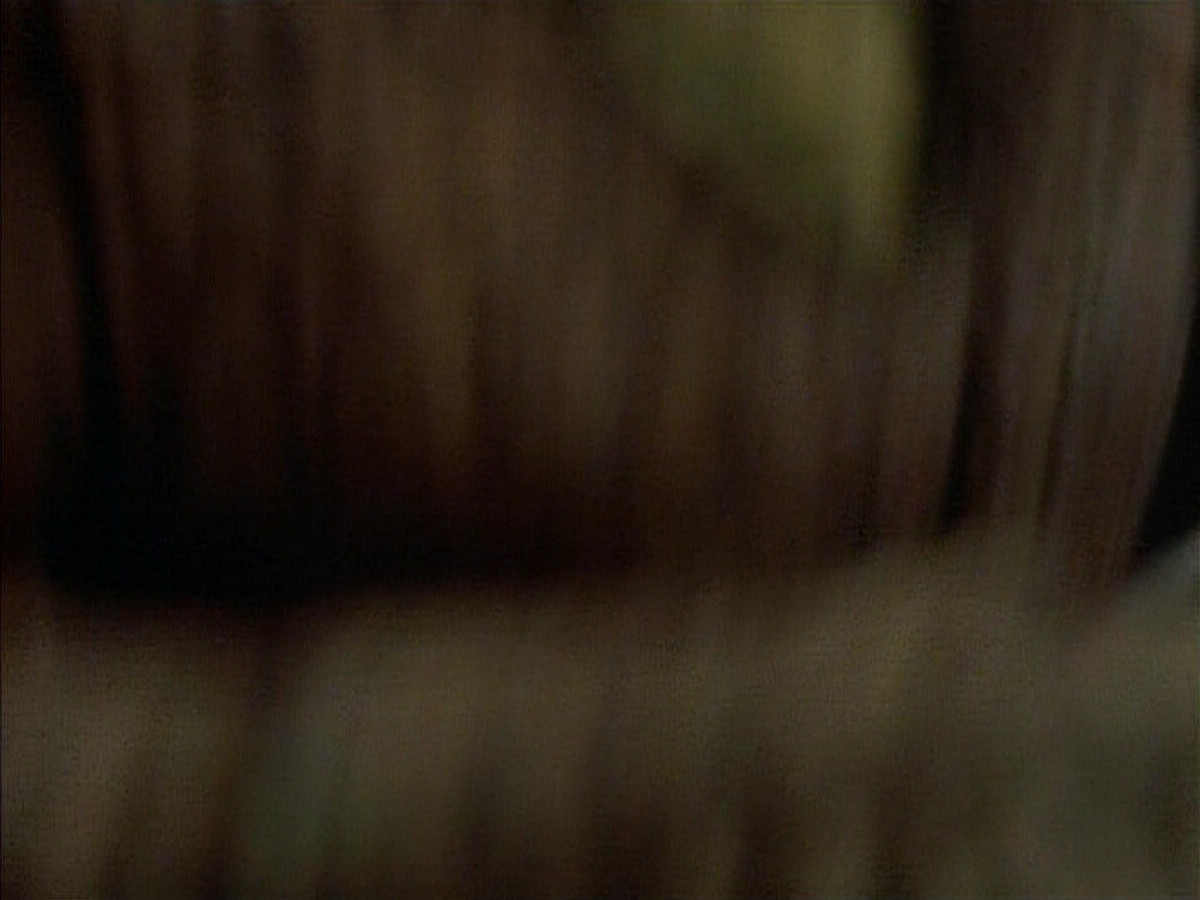 extant_StarTrekDS9_1x06-CaptivePursuitl_03264.jpg