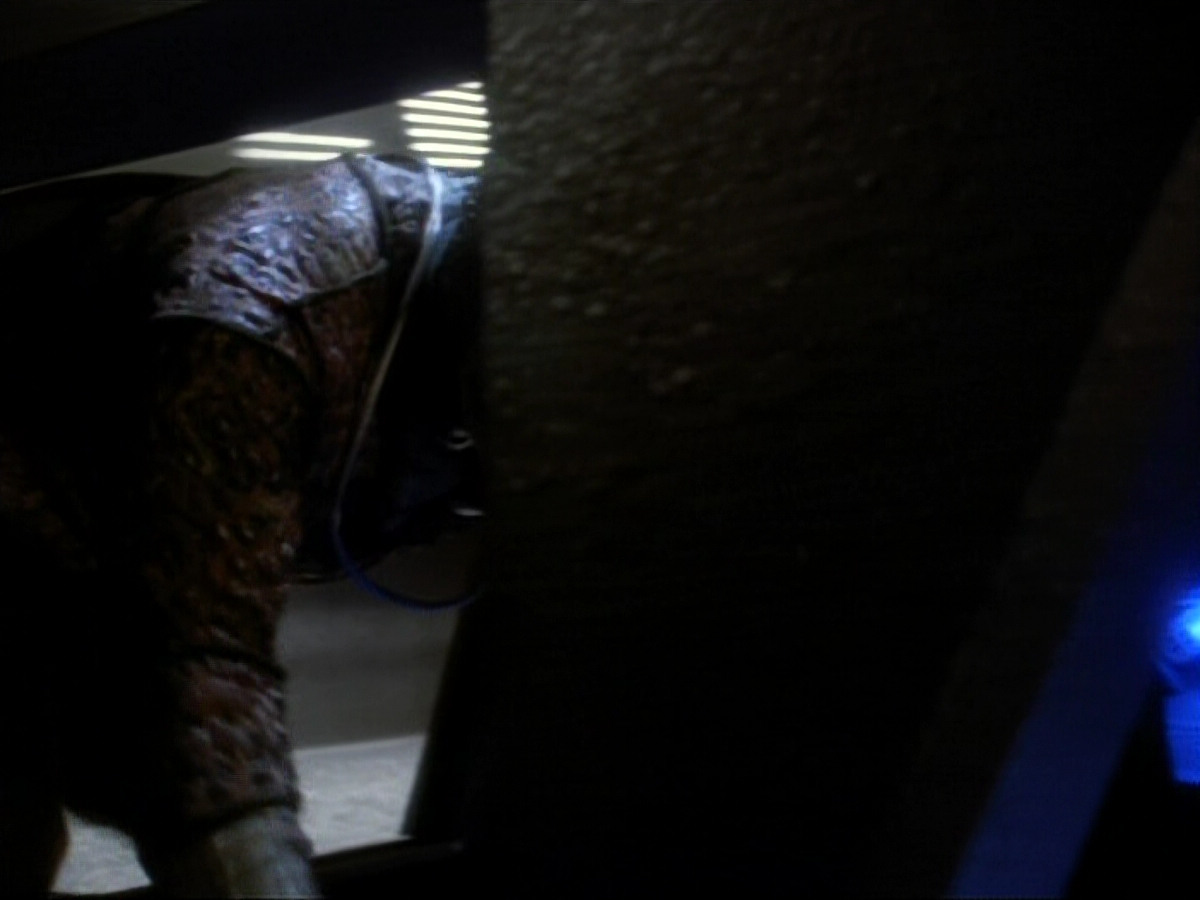 extant_StarTrekDS9_1x06-CaptivePursuitl_03347.jpg