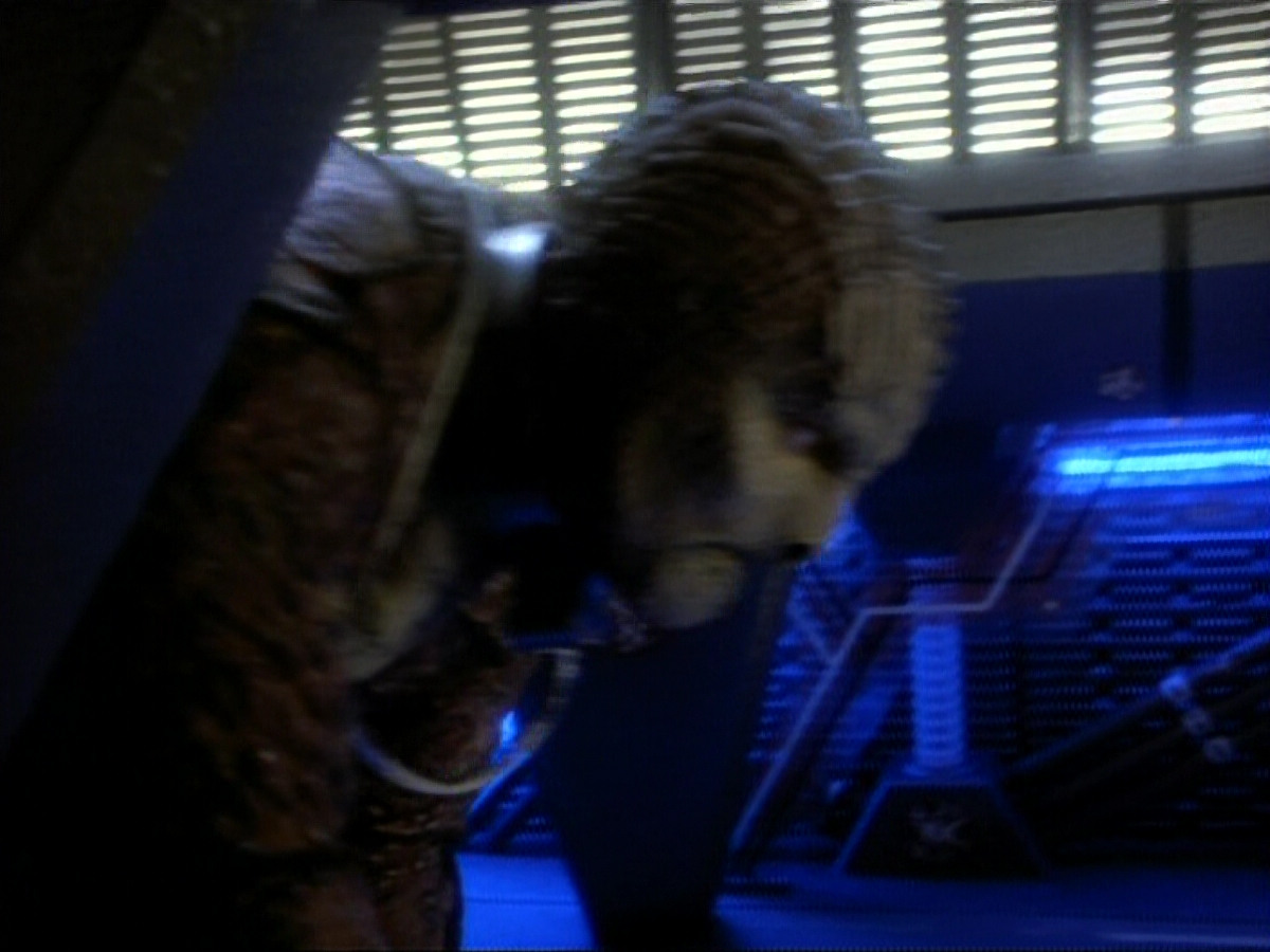 extant_StarTrekDS9_1x06-CaptivePursuitl_03350.jpg