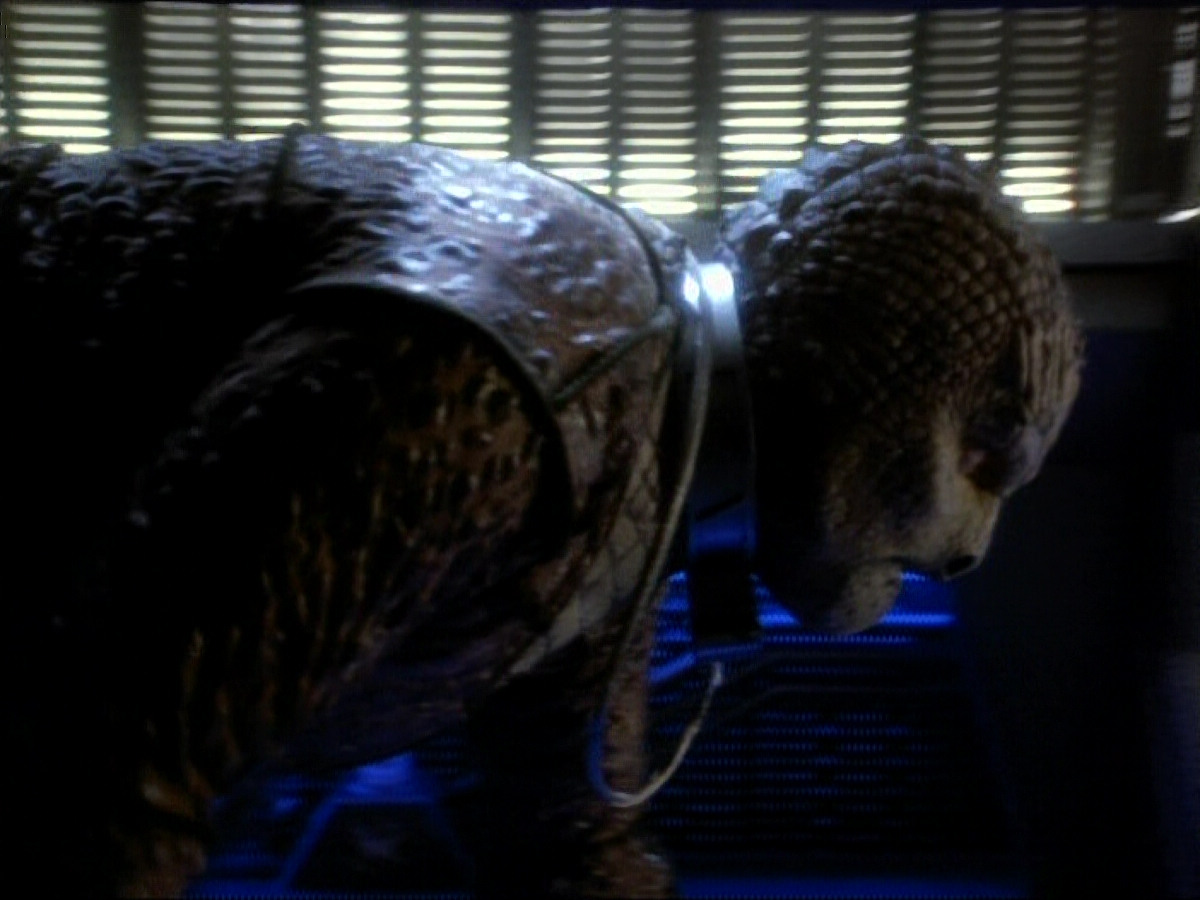 extant_StarTrekDS9_1x06-CaptivePursuitl_03351.jpg