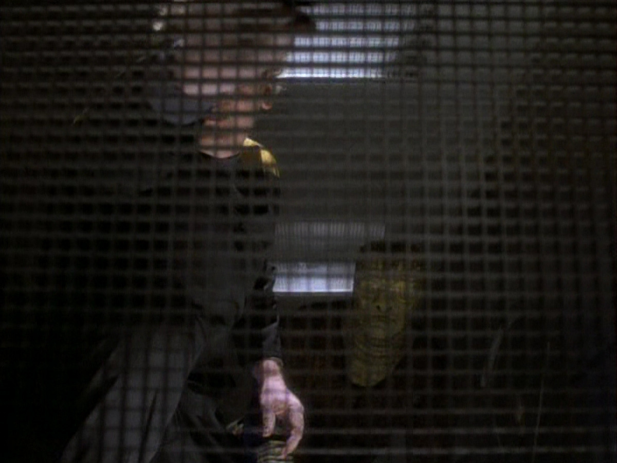 extant_StarTrekDS9_1x06-CaptivePursuitl_03415.jpg