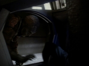 Filename=extant_StarTrekDS9_1x06-CaptivePursuitl_03345.jpg
Filesize=115KiB
Dimensions=1200x900
Date added=May 29, 2019 extant_StarTrekDS9_1x06-CaptivePursuitl_03345.jpg