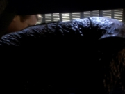 Filename=extant_StarTrekDS9_1x06-CaptivePursuitl_03380.jpg
Filesize=93KiB
Dimensions=1200x900
Date added=May 29, 2019 extant_StarTrekDS9_1x06-CaptivePursuitl_03380.jpg