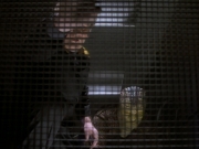 Filename=extant_StarTrekDS9_1x06-CaptivePursuitl_03416.jpg
Filesize=159KiB
Dimensions=1200x900
Date added=May 29, 2019 extant_StarTrekDS9_1x06-CaptivePursuitl_03416.jpg