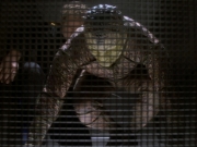 Filename=extant_StarTrekDS9_1x06-CaptivePursuitl_03421.jpg
Filesize=198KiB
Dimensions=1200x900
Date added=May 29, 2019 extant_StarTrekDS9_1x06-CaptivePursuitl_03421.jpg