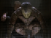 Filename=extant_StarTrekDS9_1x06-CaptivePursuitl_03422.jpg
Filesize=202KiB
Dimensions=1200x900
Date added=May 29, 2019 extant_StarTrekDS9_1x06-CaptivePursuitl_03422.jpg