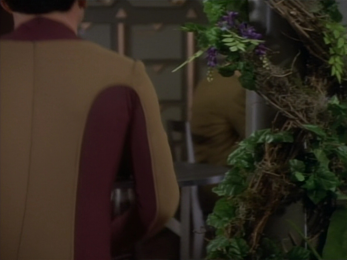 extant_StarTrekDS9_1x08-Dax_00025.jpg
