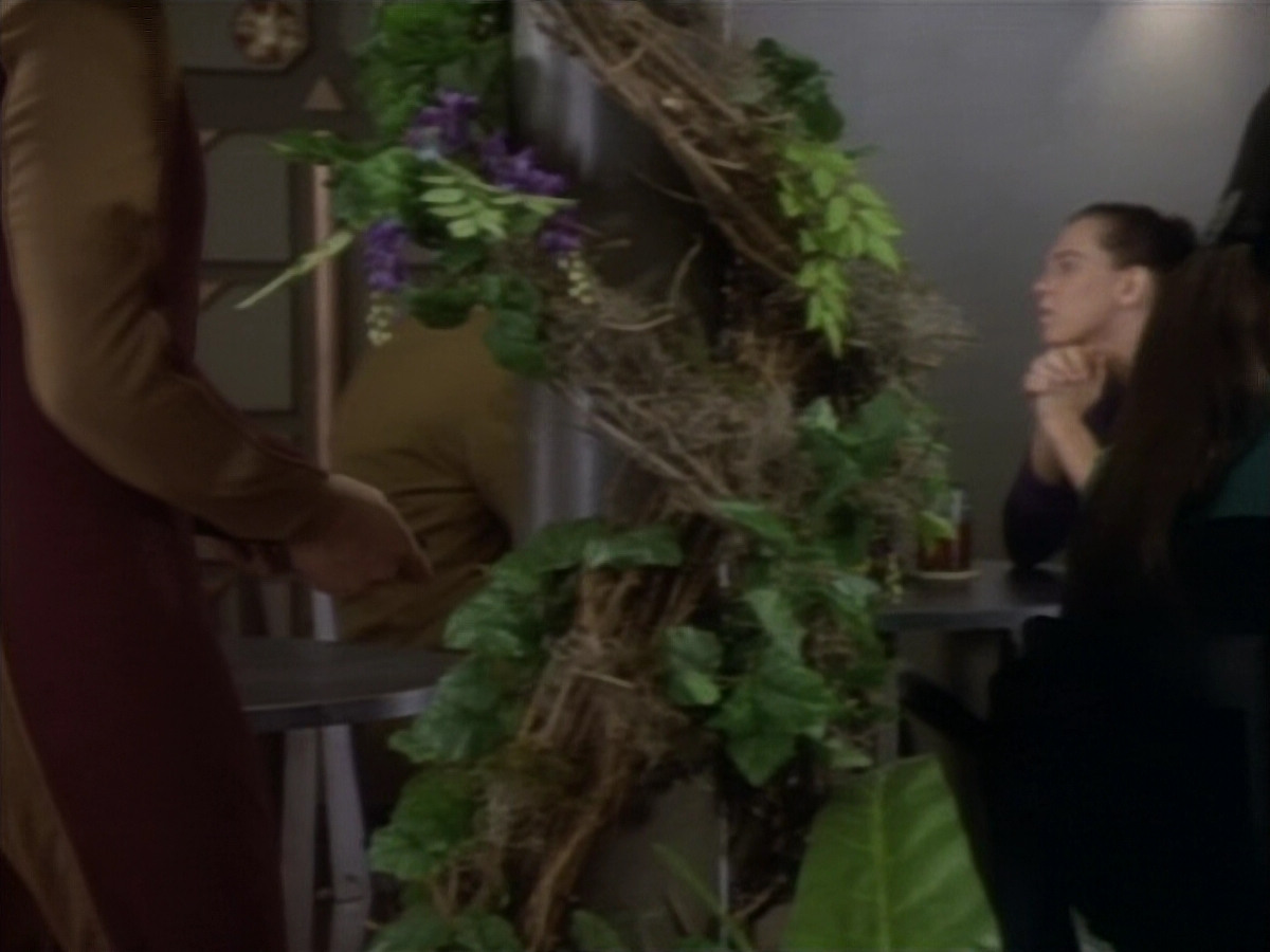extant_StarTrekDS9_1x08-Dax_00027.jpg