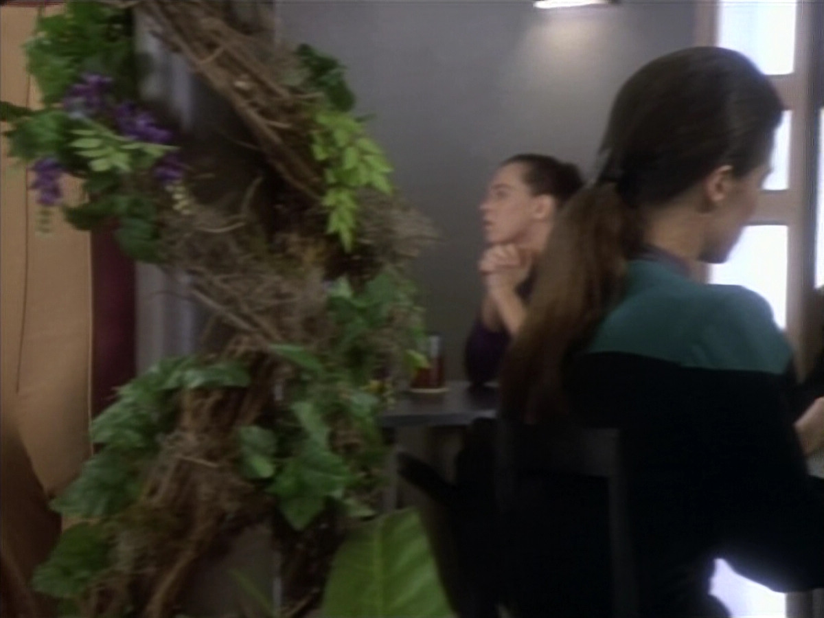 extant_StarTrekDS9_1x08-Dax_00028.jpg