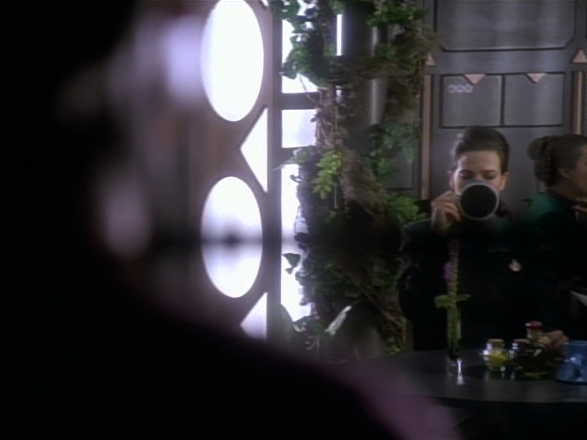 extant_StarTrekDS9_1x08-Dax_00089.jpg