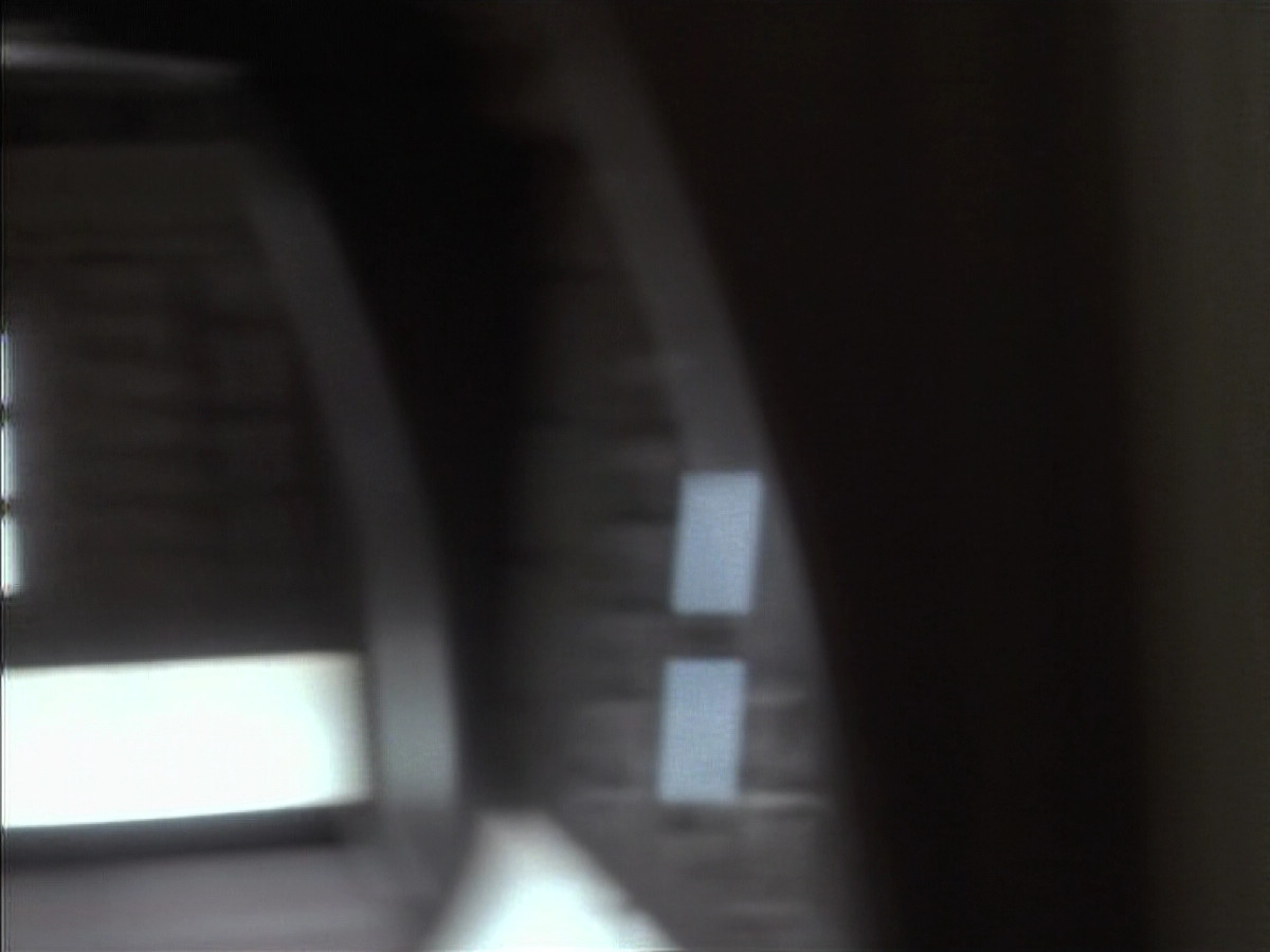 extant_StarTrekDS9_1x08-Dax_00566.jpg