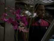 extant_StarTrekDS9_1x08-Dax_03125.jpg