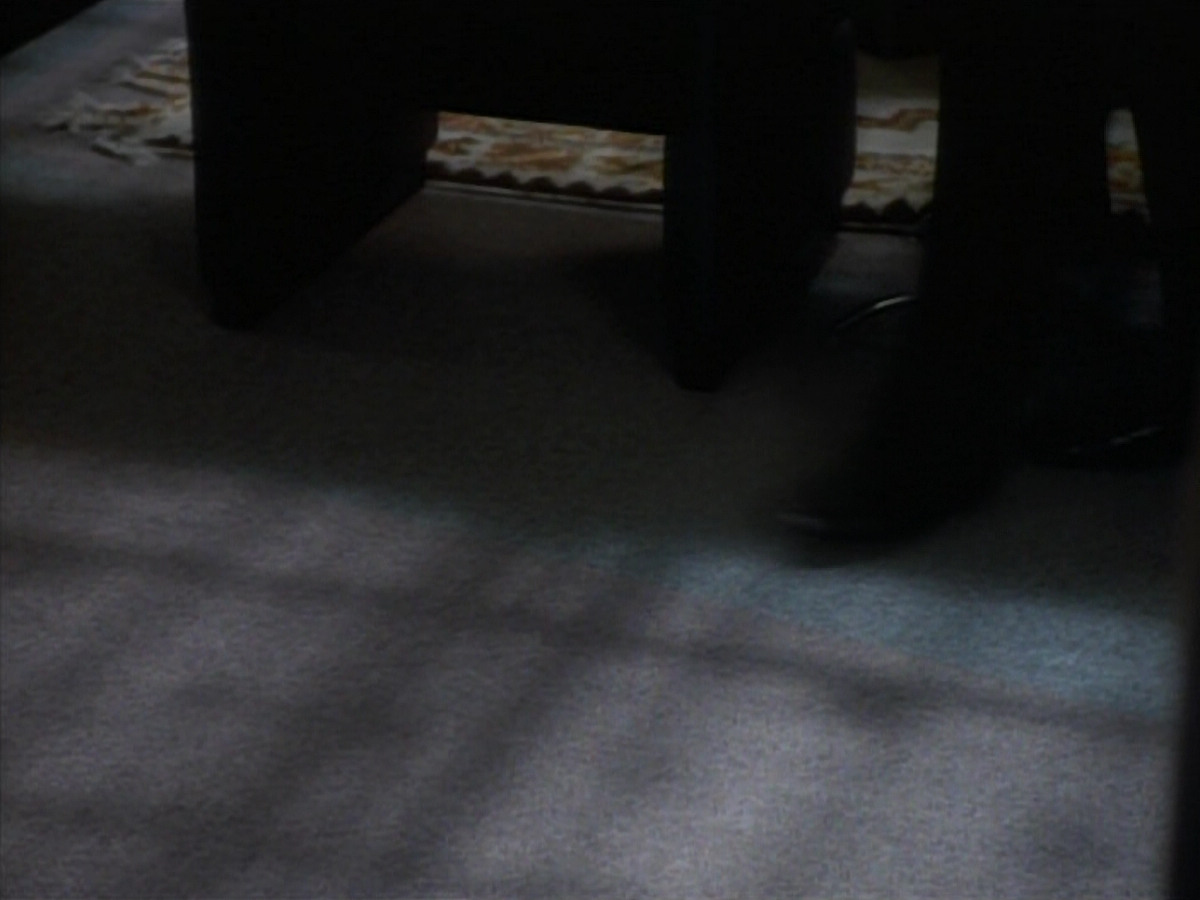 extant_StarTrekDS9_1x10-MoveAlongHome_00009.jpg