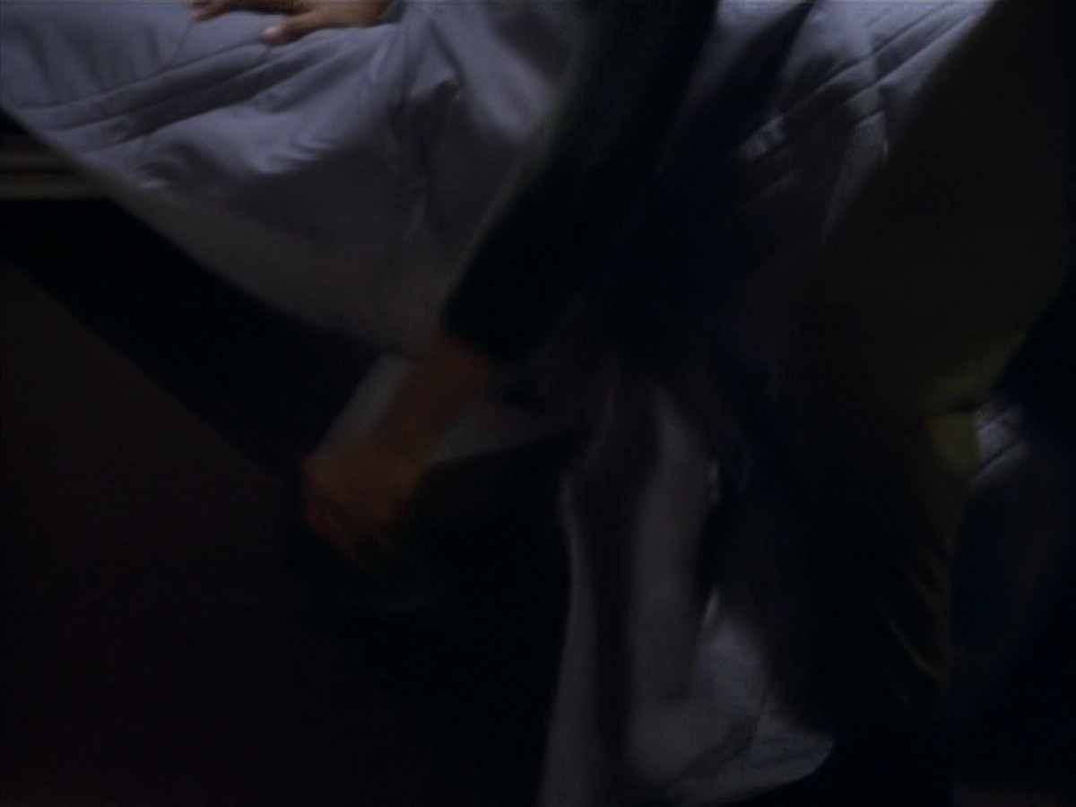 extant_StarTrekDS9_1x11-TheNagus_00062.jpg