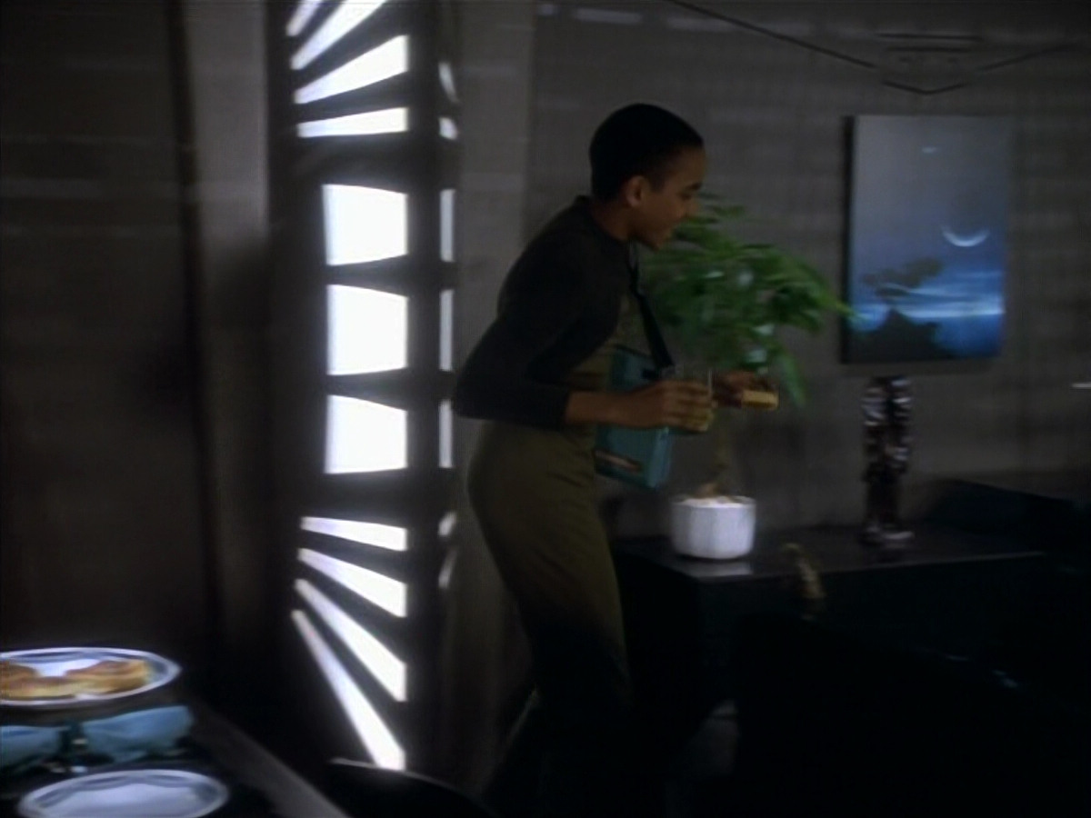 extant_StarTrekDS9_1x11-TheNagus_00118.jpg