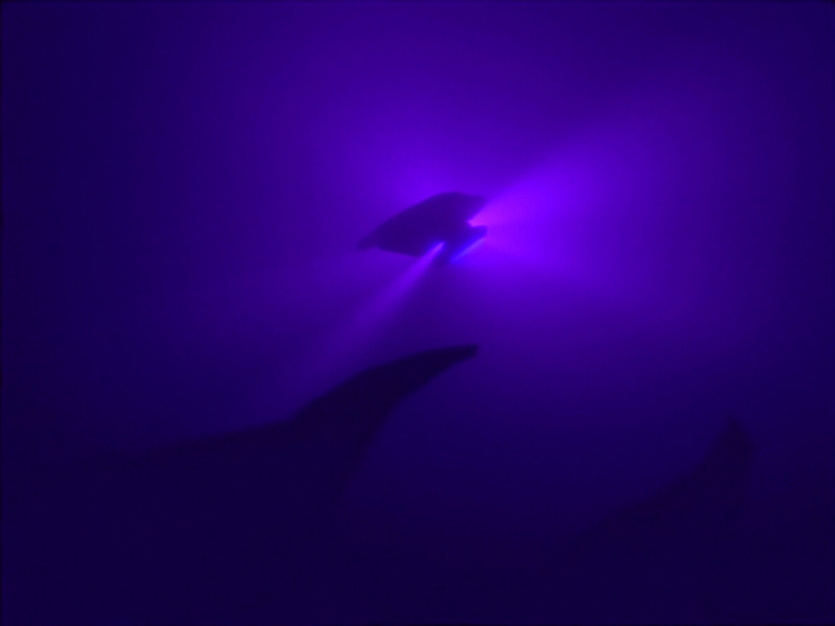 extant_StarTrekDS9_1x12-Vortex_03358.jpg