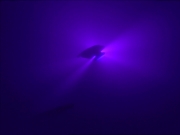 Filename=extant_StarTrekDS9_1x12-Vortex_03355.jpg
Filesize=65KiB
Dimensions=1200x900
Date added=Jun 11, 2019 extant_StarTrekDS9_1x12-Vortex_03355.jpg