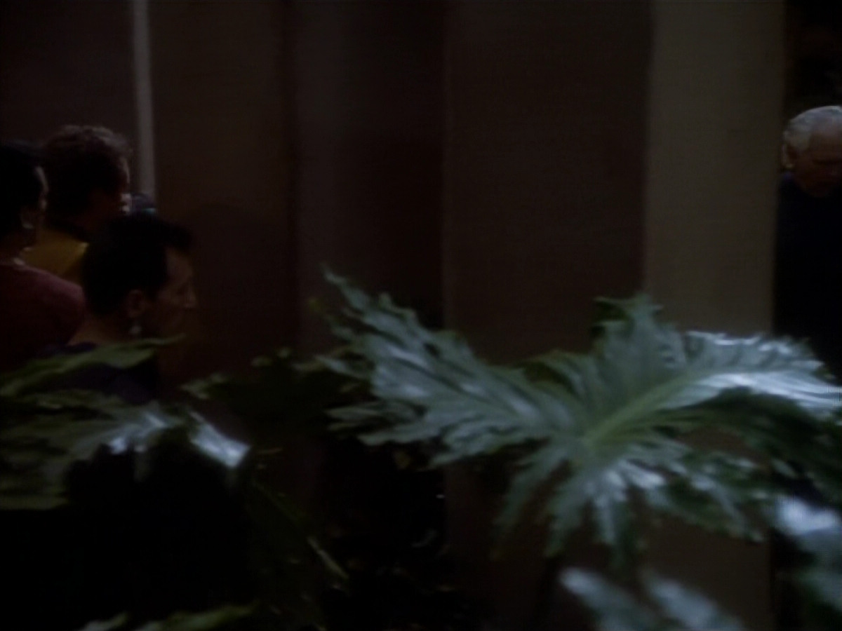 extant_StarTrekDS9_1x14-TheStoryteller_01253.jpg
