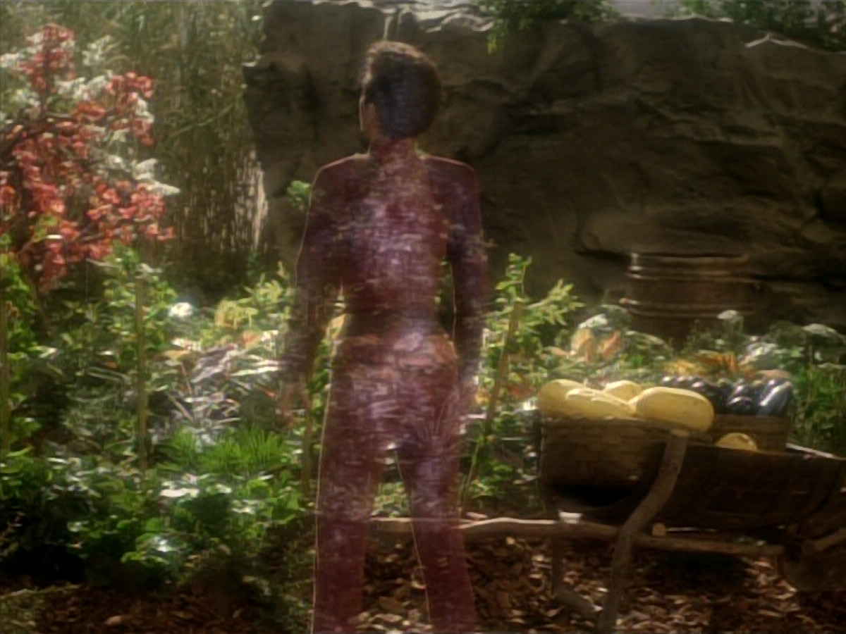 extant_StarTrekDS9_1x15-Progress_00283.jpg