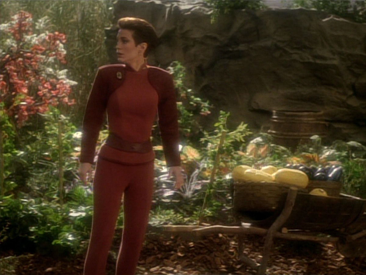extant_StarTrekDS9_1x15-Progress_00289.jpg