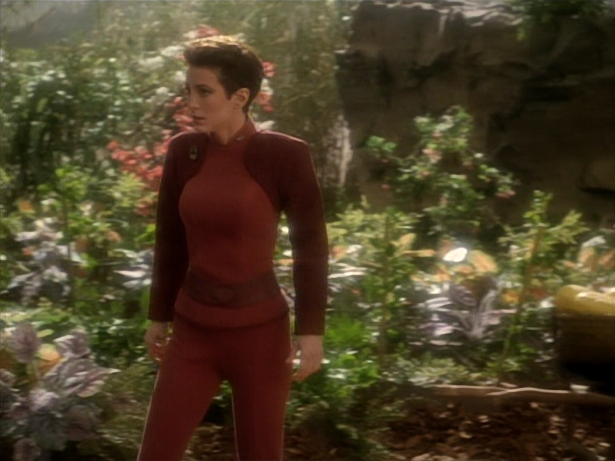 extant_StarTrekDS9_1x15-Progress_00293.jpg