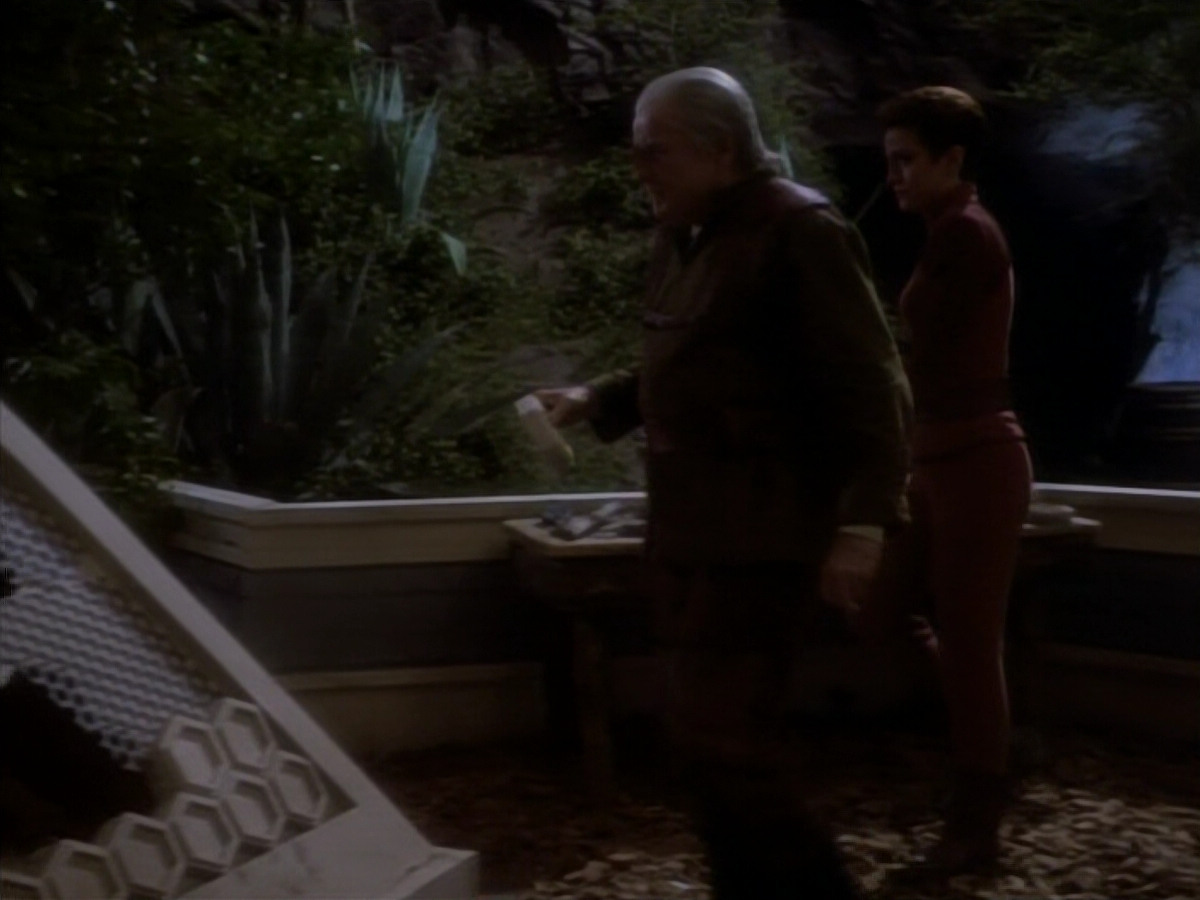 extant_StarTrekDS9_1x15-Progress_01479.jpg