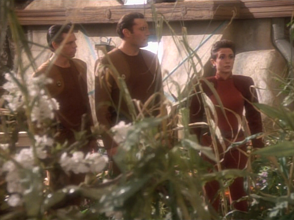 extant_StarTrekDS9_1x15-Progress_01930.jpg