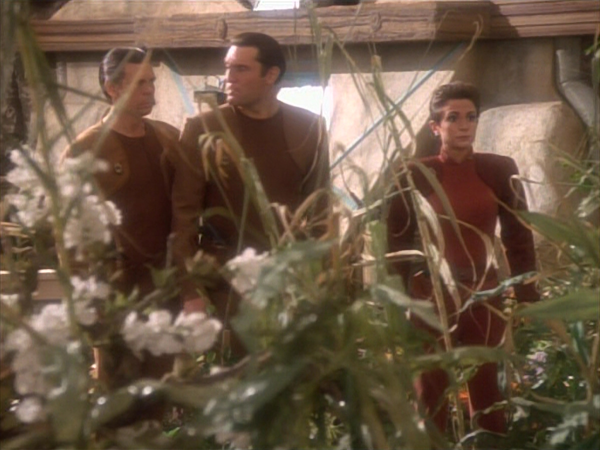 extant_StarTrekDS9_1x15-Progress_01932.jpg