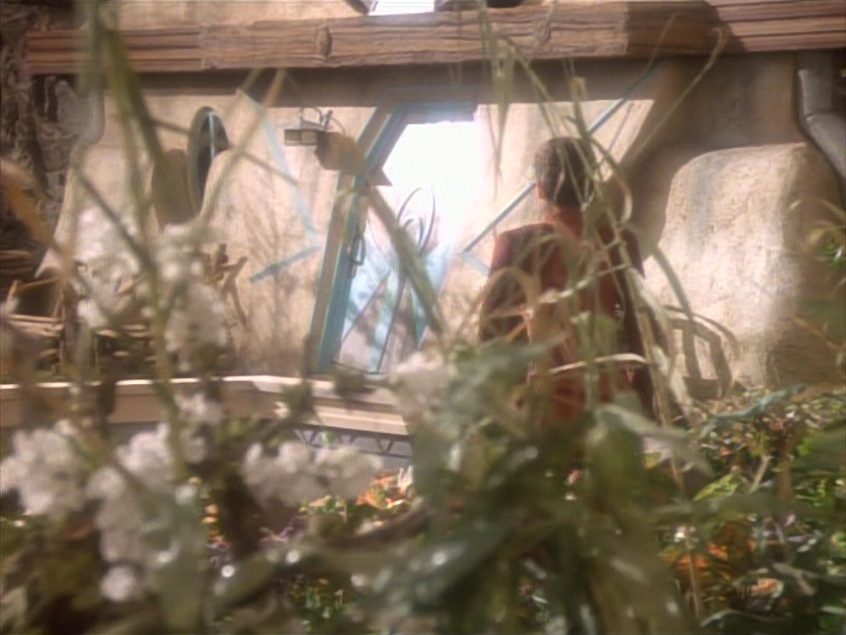 extant_StarTrekDS9_1x15-Progress_01940.jpg