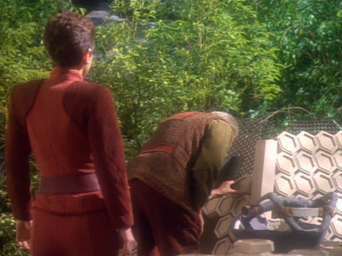 extant_StarTrekDS9_1x15-Progress_02092.jpg