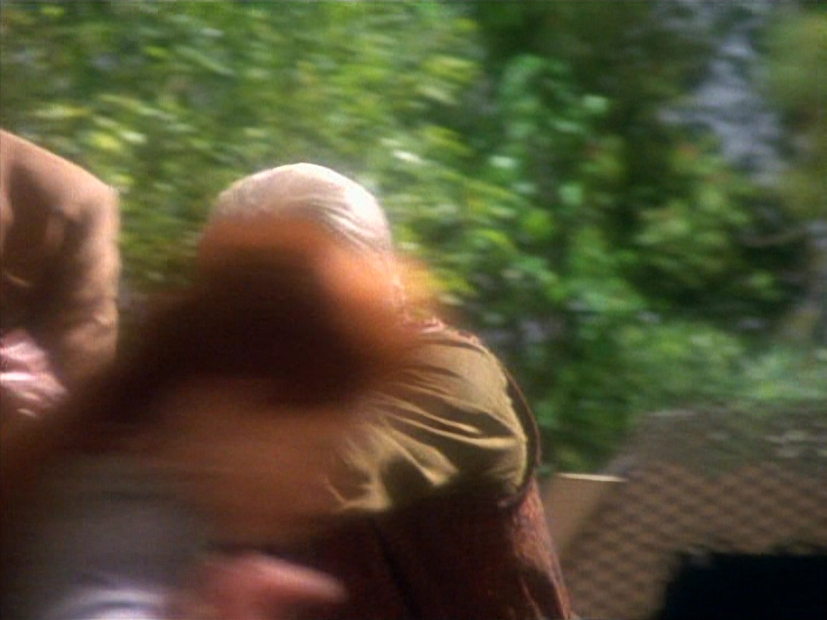 extant_StarTrekDS9_1x15-Progress_02107.jpg