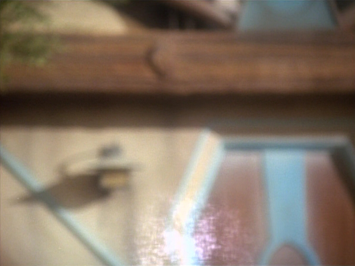 extant_StarTrekDS9_1x15-Progress_02947.jpg