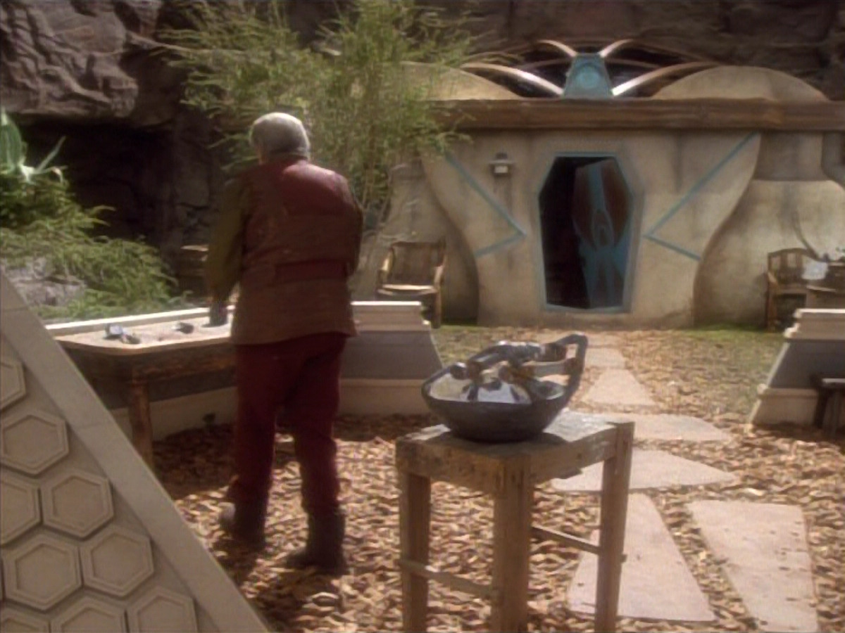 extant_StarTrekDS9_1x15-Progress_03552.jpg