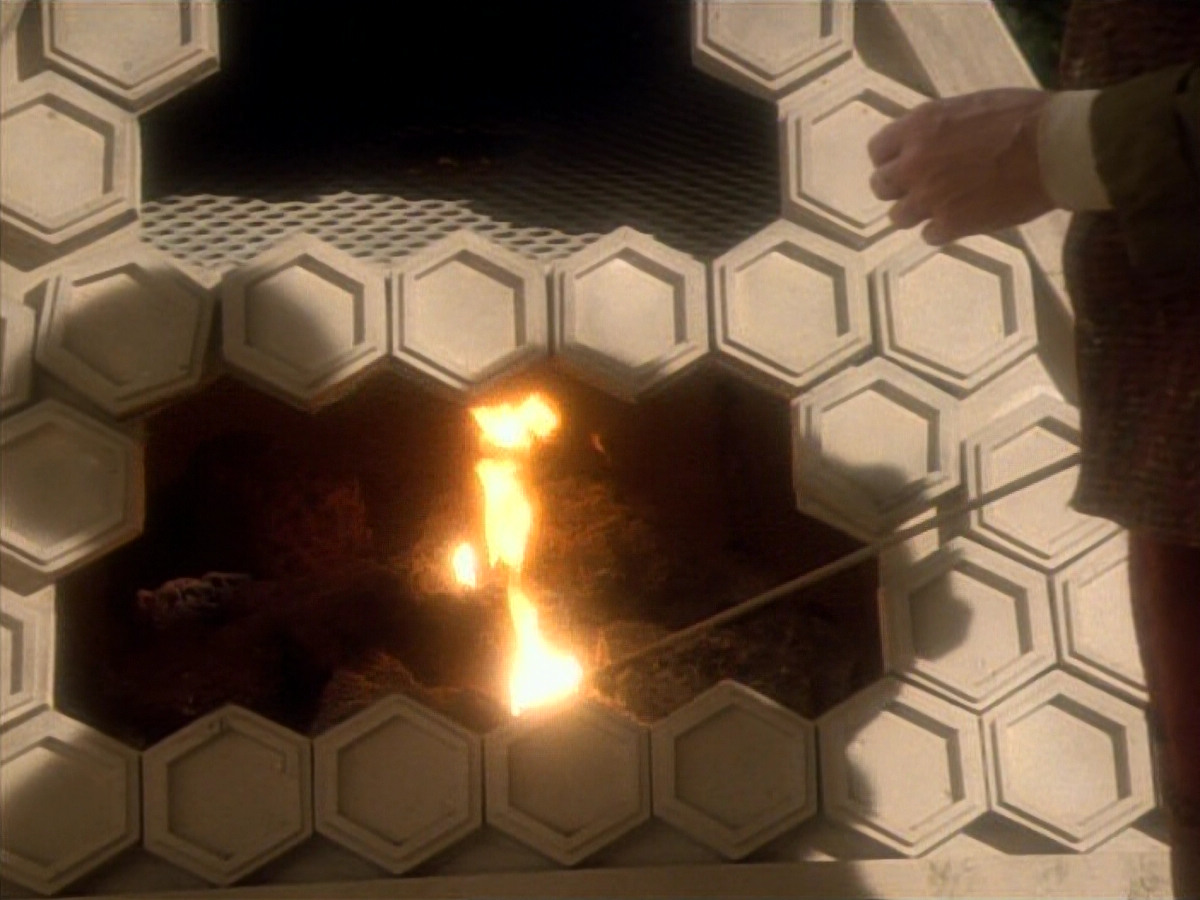 extant_StarTrekDS9_1x15-Progress_03572.jpg