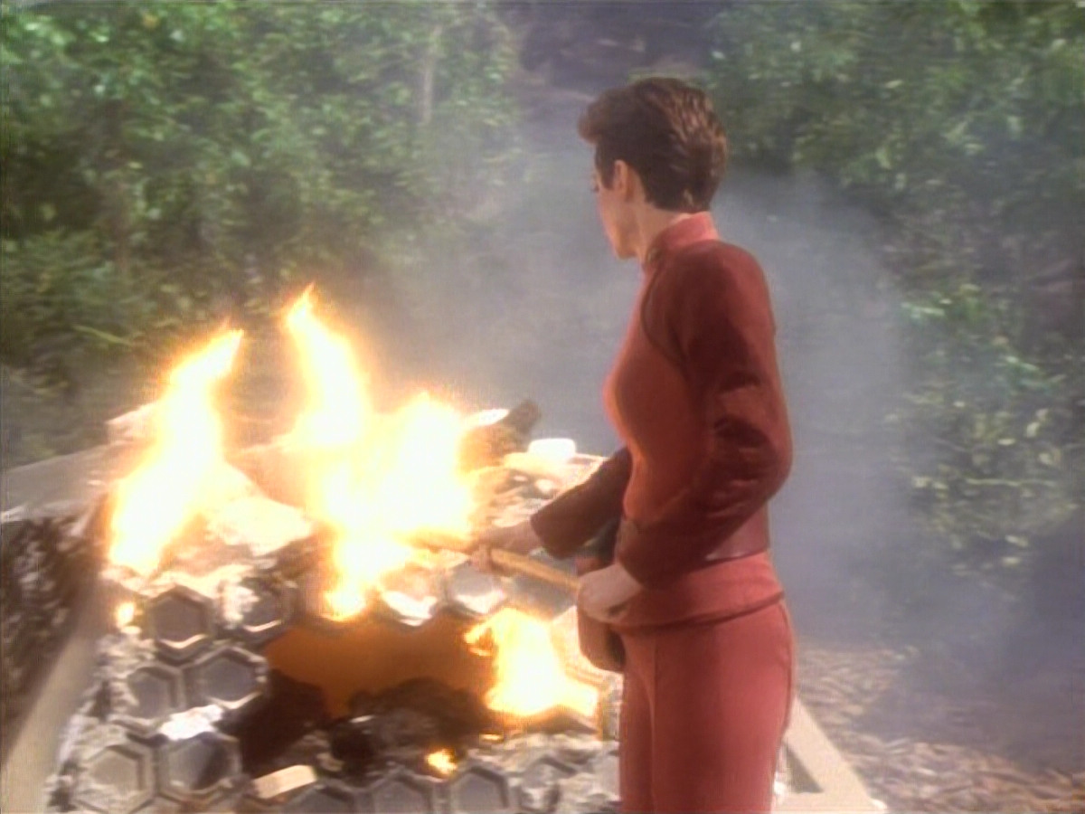extant_StarTrekDS9_1x15-Progress_03644.jpg