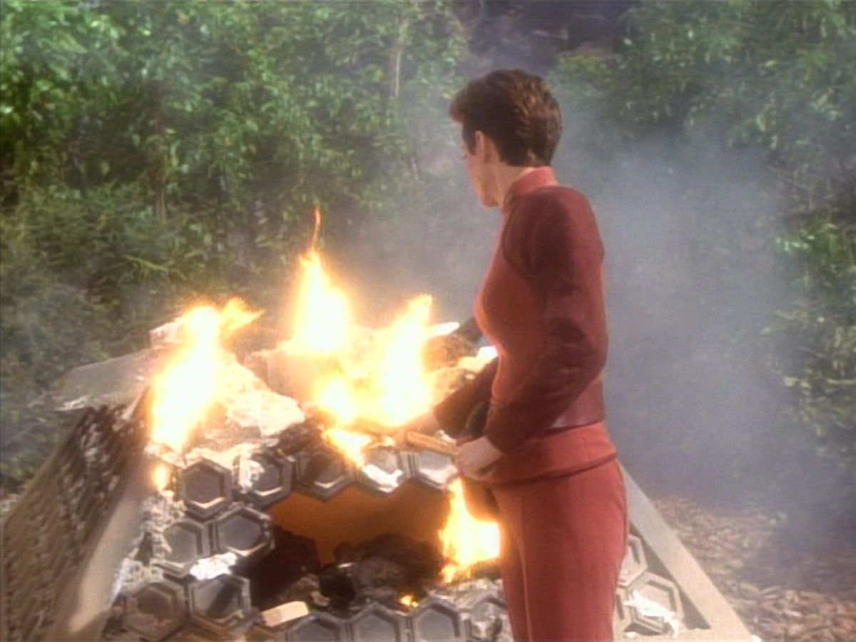 extant_StarTrekDS9_1x15-Progress_03645.jpg