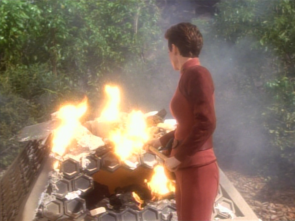 extant_StarTrekDS9_1x15-Progress_03647.jpg