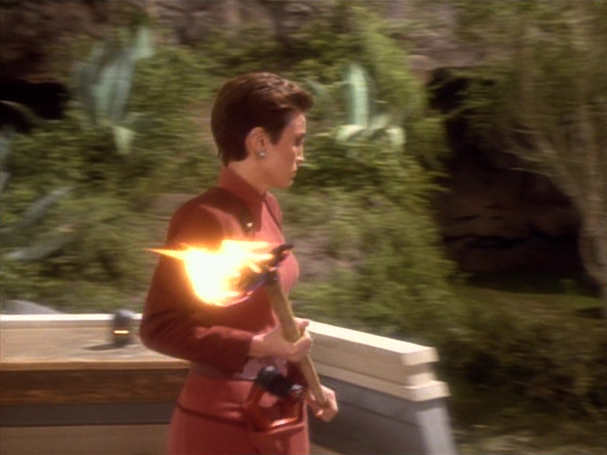 extant_StarTrekDS9_1x15-Progress_03651.jpg
