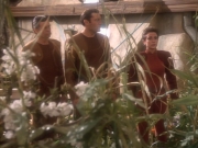 extant_StarTrekDS9_1x15-Progress_01923.jpg